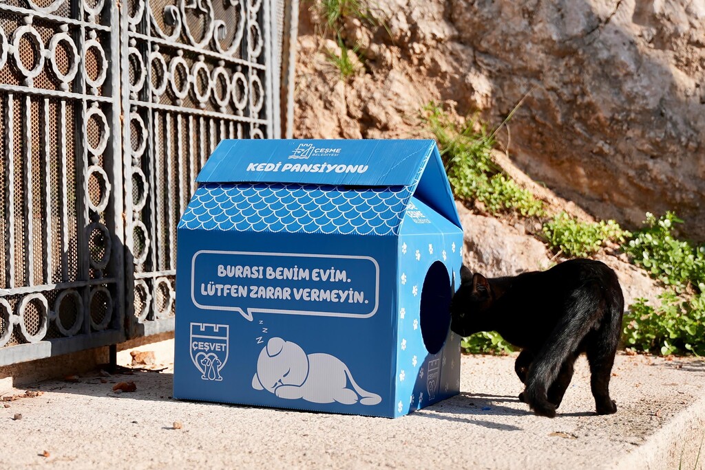 ÇEŞME BELEDİYESİ, KEDİ EVLERİ İLE MİNİK DOSTLARIN KÖTÜ HAVA KOŞULLARINDAN ETKİLENMESİNİ ÖNLÜYOR