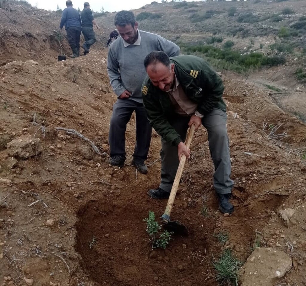 Çeşme Damla Sakızı Üretimi Büyüyor!