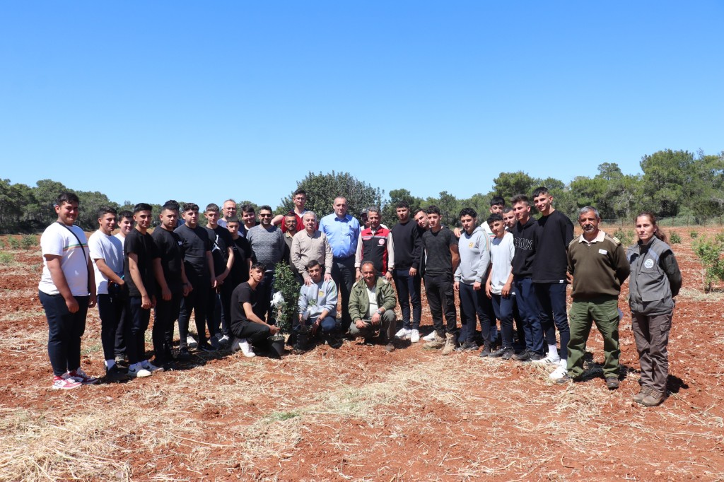 Çeşme'nin sakız ağacı Kıbrıs topraklarında