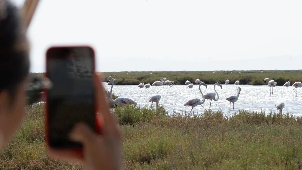 Flamingo Yolu turları başladı