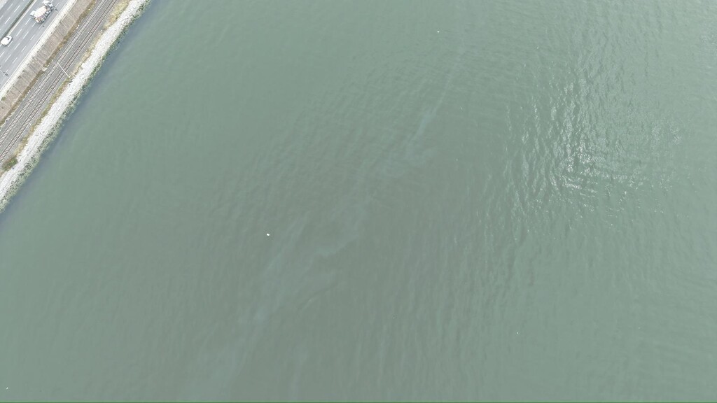 İzmir Körfezi’nde kirlilik alarmı: Aynı tehdit 11. kez görüldü