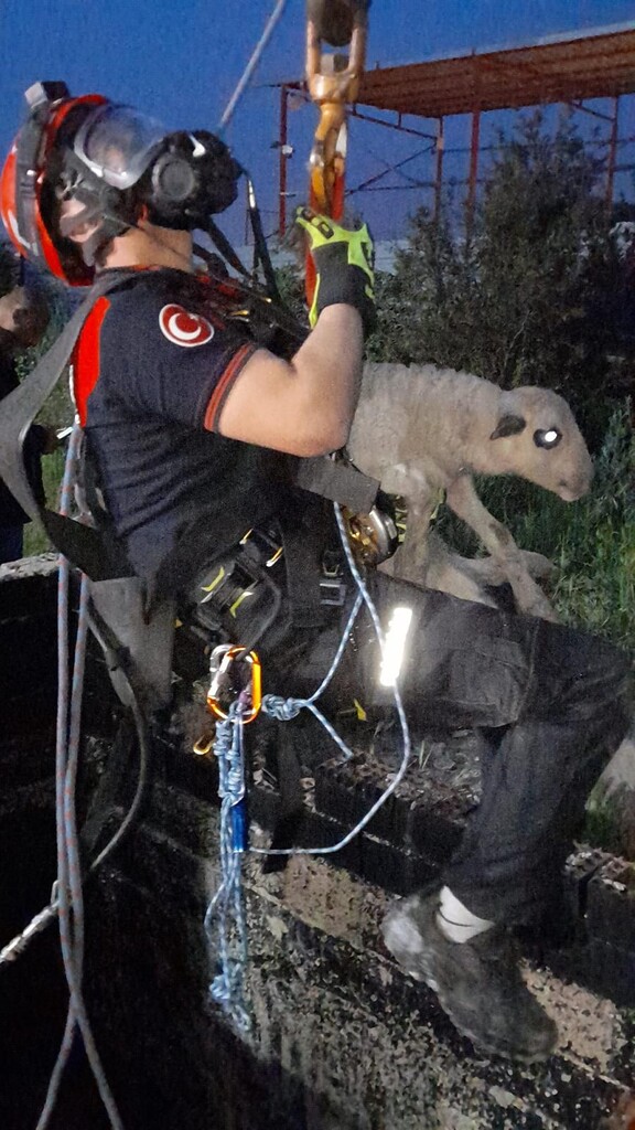 Kuyuya düşen kuzuya itfaiyeden nefes kesen kurtarma