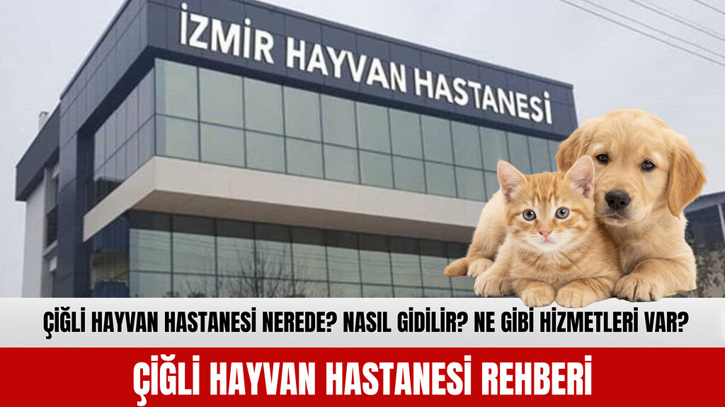 İzmir Çiğli Hayvan Hastanesi binası ve üzerinde sevimli yavru kedi ve köpek figürleri bulunan rehber manşet görseli.