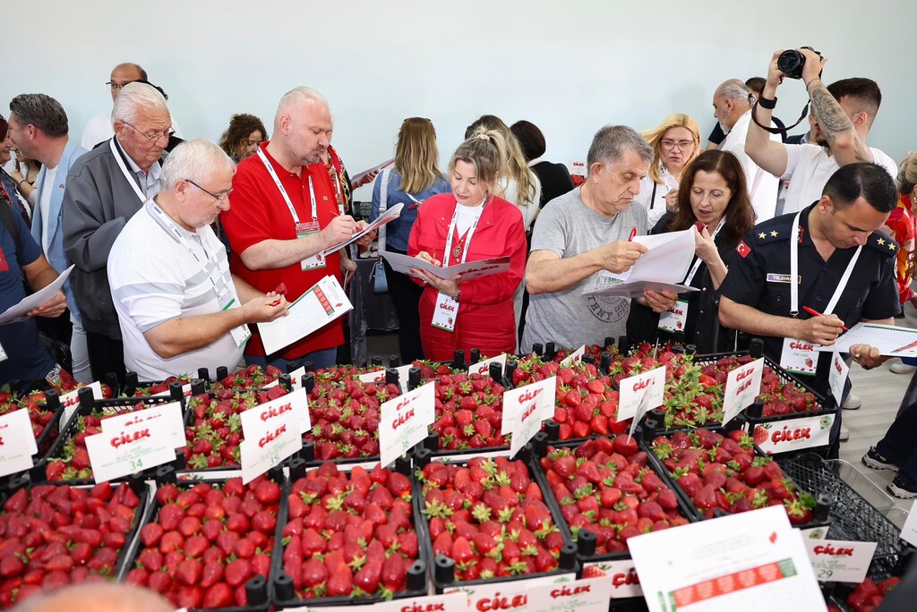 Çilek tadında festival, milyonu aşkın misafir ağırladı