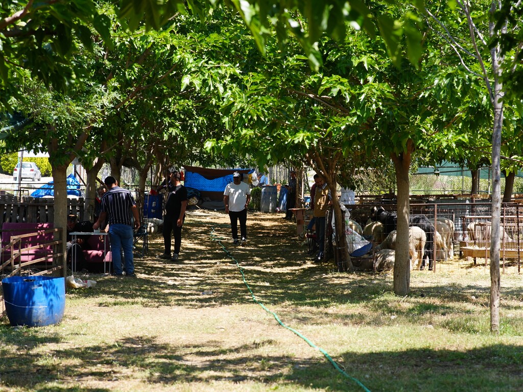 Seferihisar Belediyesi, Kurban Bayramı’nda dayanışmayı büyütmek için harekete geçti.