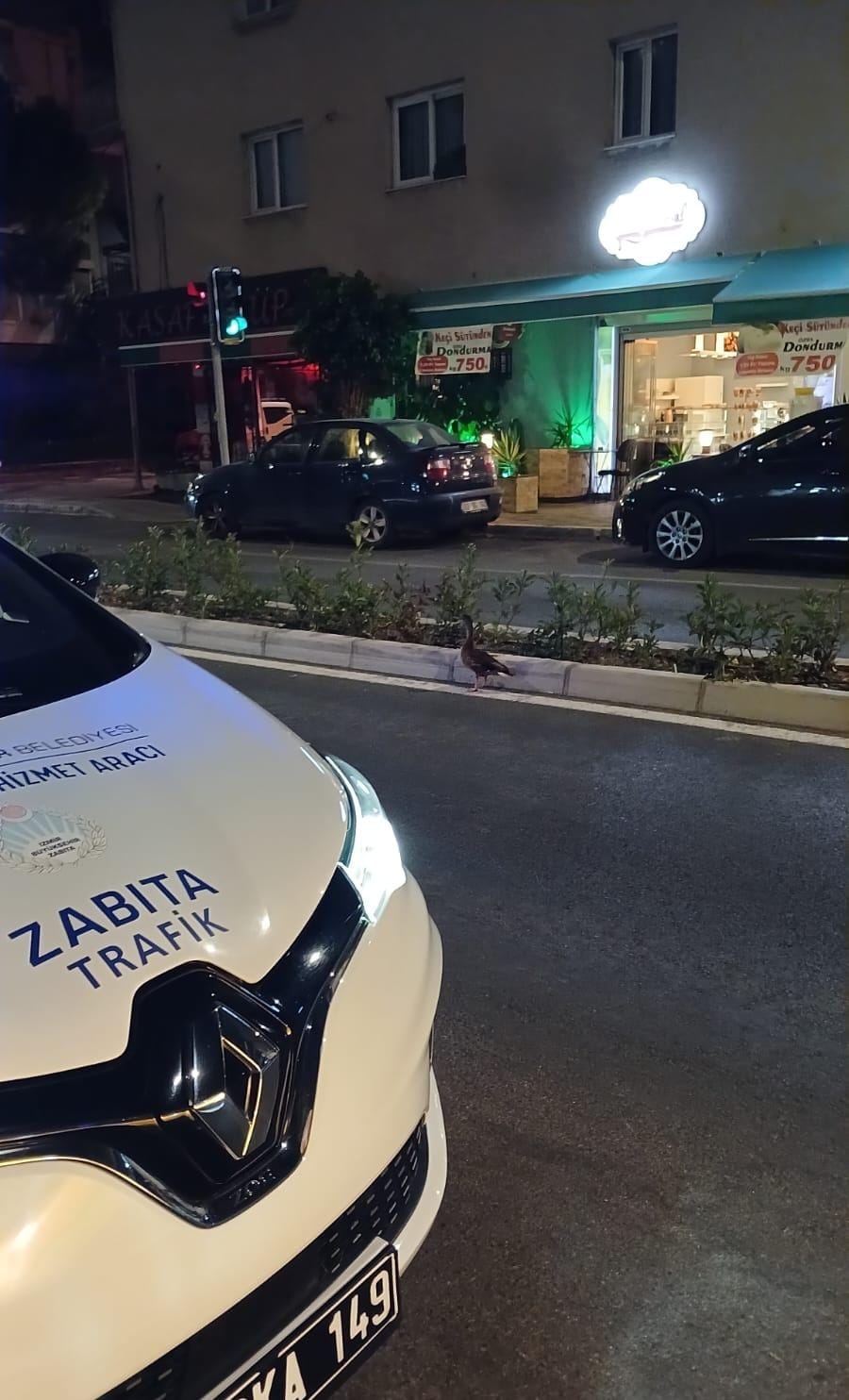 Trafiği durdurup ördeği kurtardılar