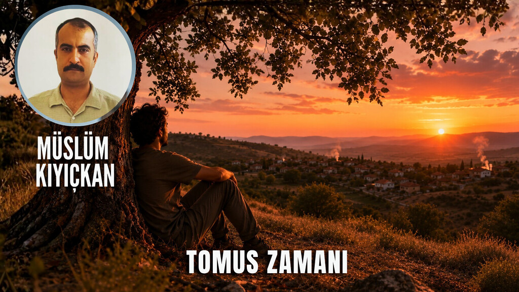 Müslüm Kıyıçkan'ın Tomus Zamanı köşe yazısı için gün batımında fıstık ağacına yaslanan adam ve köy manzarası kapak görseli.