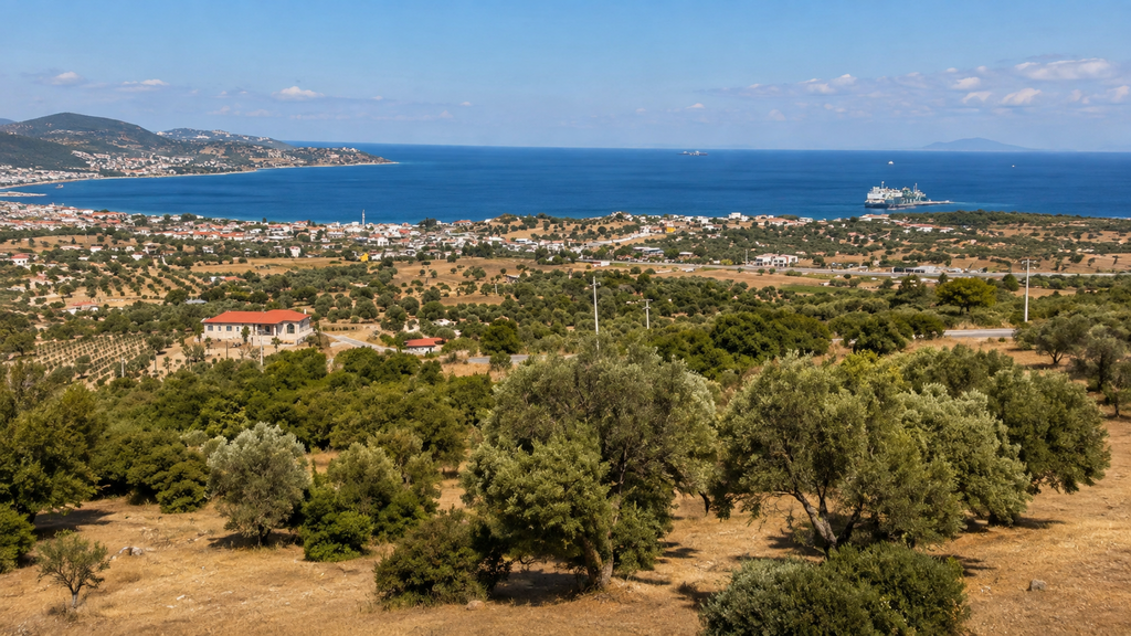 Foça Kozbeyli Reva Vela Restaurant panoramik Ege Denizi ve zeytinlik manzarası